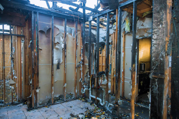 Professional Fire Damage Removal technician working in Larkspur, CA